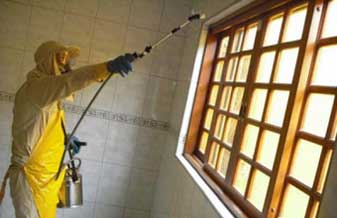 Dedetizadora Pingo D’água - Foto 1