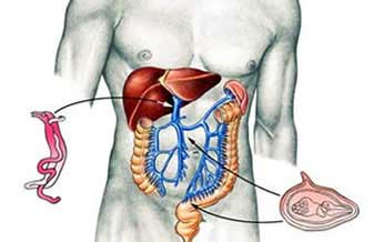 Clínica de Gastroenterologia de Imperatriz - Foto 1