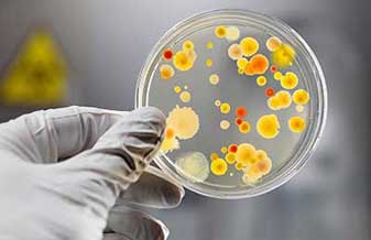 Doenças Infecciosas Dr Ilis Ferreira Marin - Foto 1