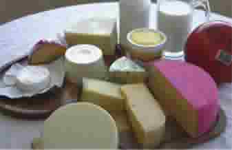 Laticínios Pioneiro - Foto 1