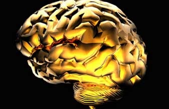 Instituto de Neurologia e Neurocirurgia de Imperatriz - Foto 1