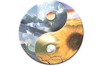 Terapeuta Holística Suely de Jesus Santos - Foto 1