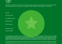 Alvará de Funcionamento Provisório